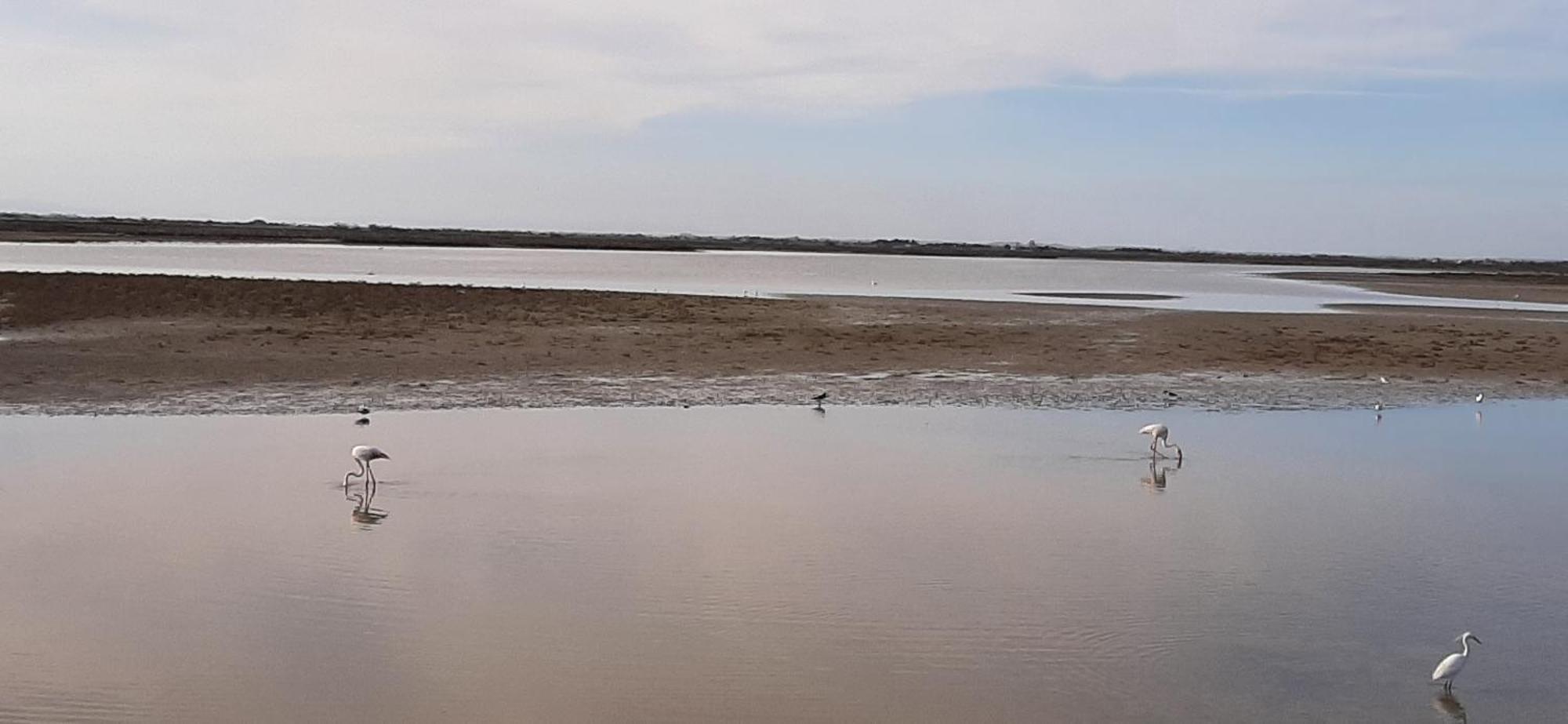 Appartement Calme A Deux Pas De La Mer Сент-Марі-де-ла-Мер Екстер'єр фото